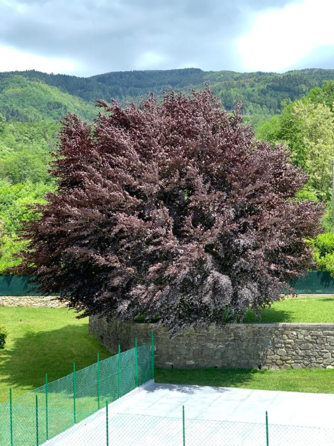 Nidi Del Faggio Rosso - Family Holiday Home Maresca Екстериор снимка