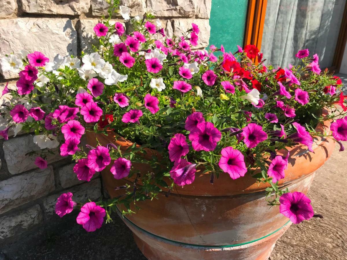 Nidi Del Faggio Rosso - Family Holiday Home Maresca Екстериор снимка